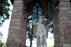 DSCF6492